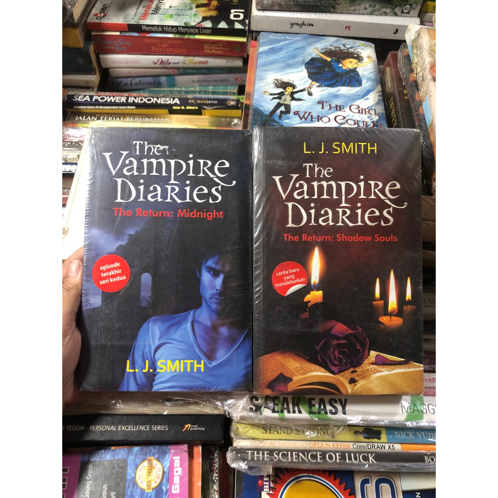 Novel Ori Terjemahan Vampire Diaries