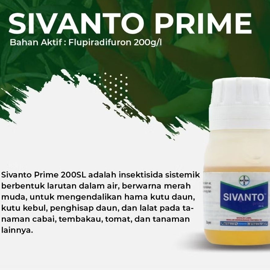 Sivanto Prime 200SL_insektisida