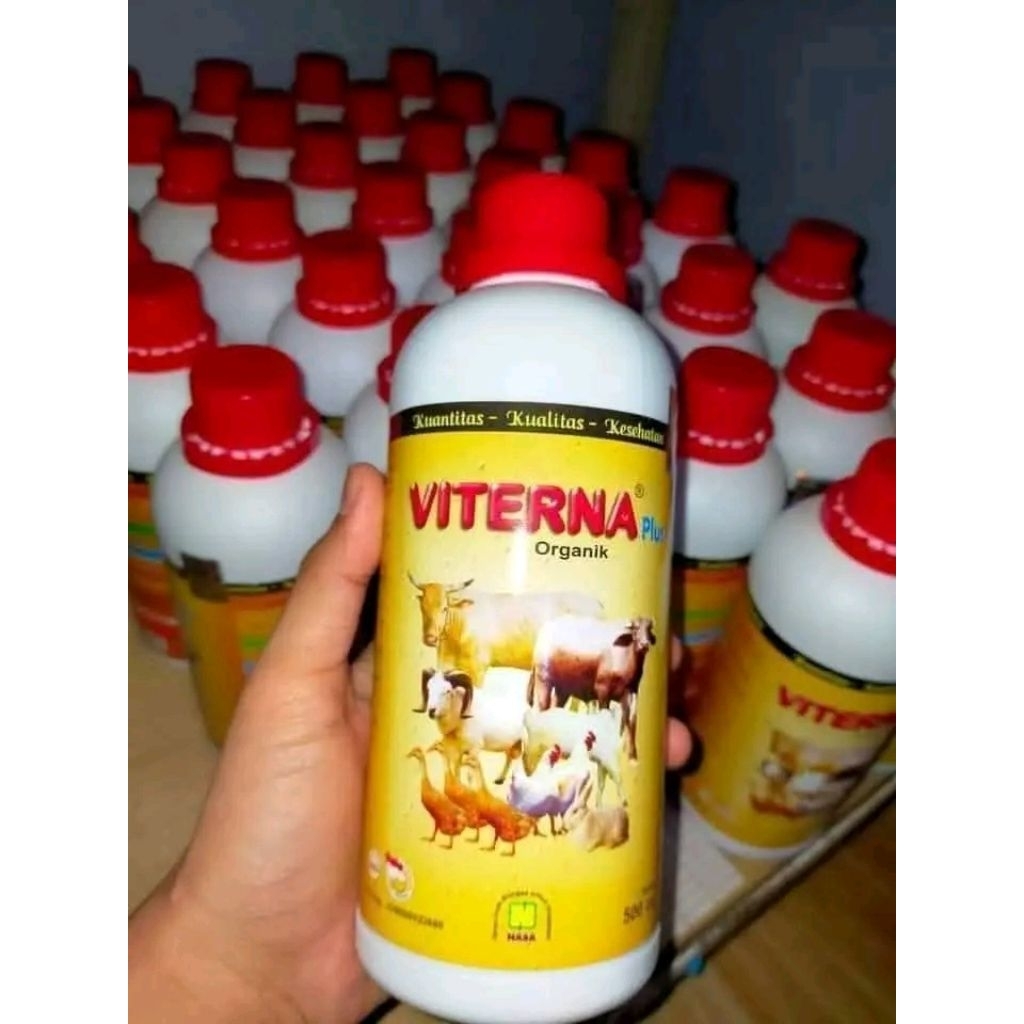 VITERNA  NASA