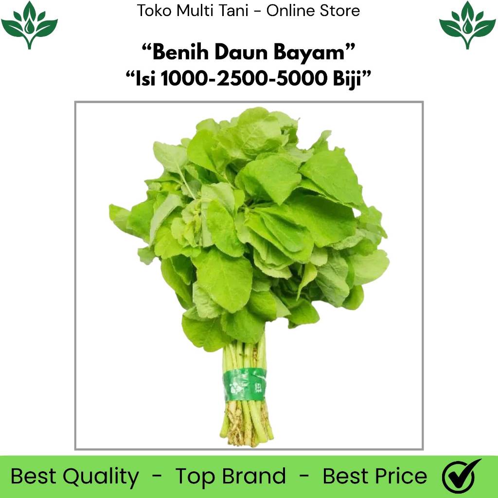 Benih Daun Bayam Isi 1000/2500/5000 Biji - Benih Bayam Hijau - Benih Bayam Daun Lebar - Benih Bayam 
