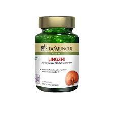 LINGZHI 30 KAPSUL SIDOMUNCUL