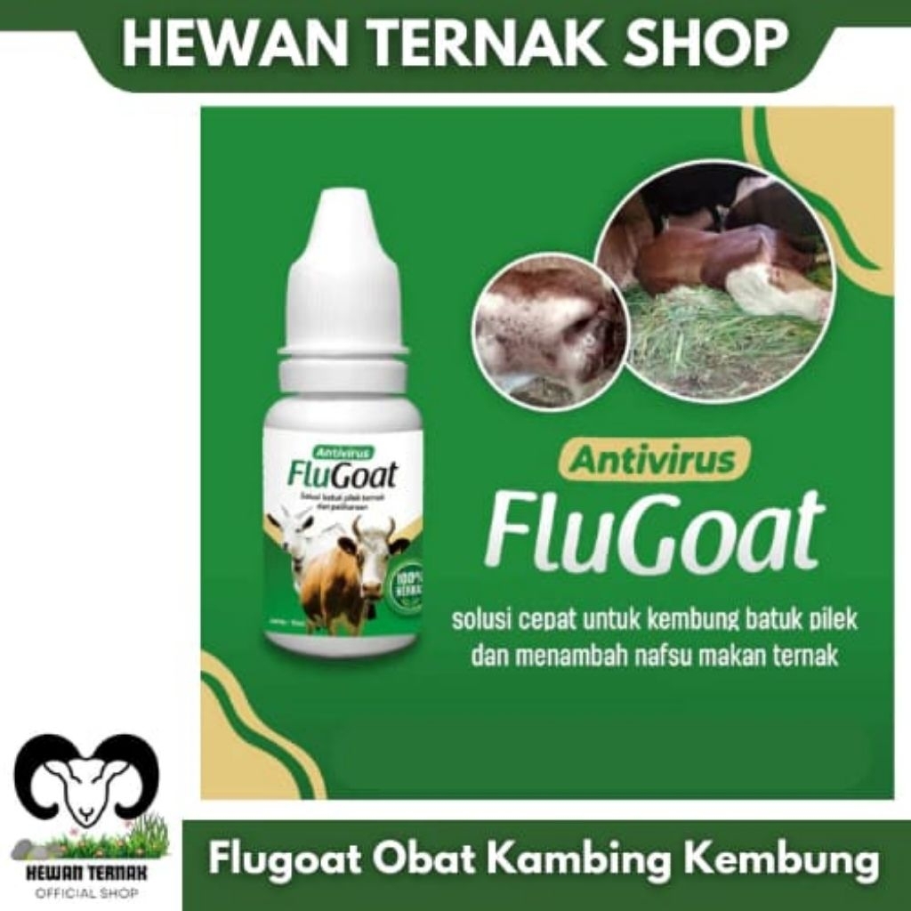 FLUGOAT Obat Mengatasi Lemas,Kembung,Pilek,Batuk Dan Susah Berdiri Untuk Kambing Domba,Sapi & Kerbau