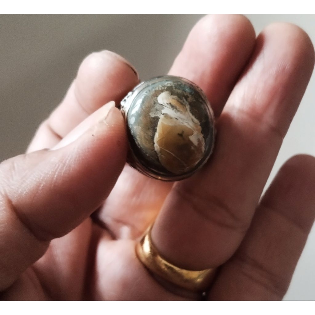 Pernata posil kerang gambar burung ring 8