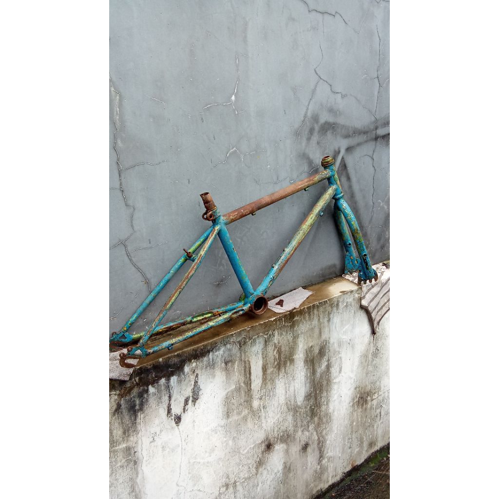 frame BMX/MTB wimcycle