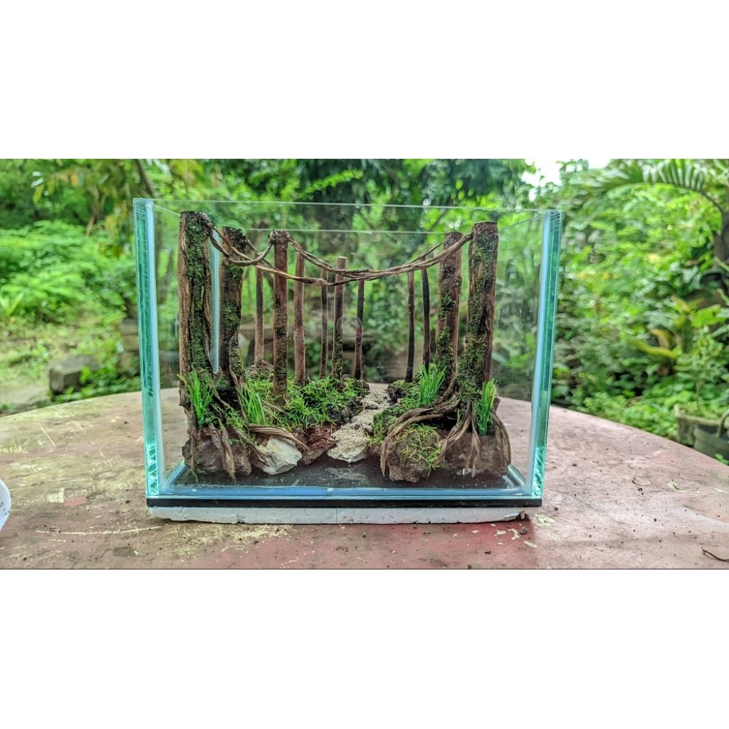 Hardscape aquascape diorama hutan 20cm cube