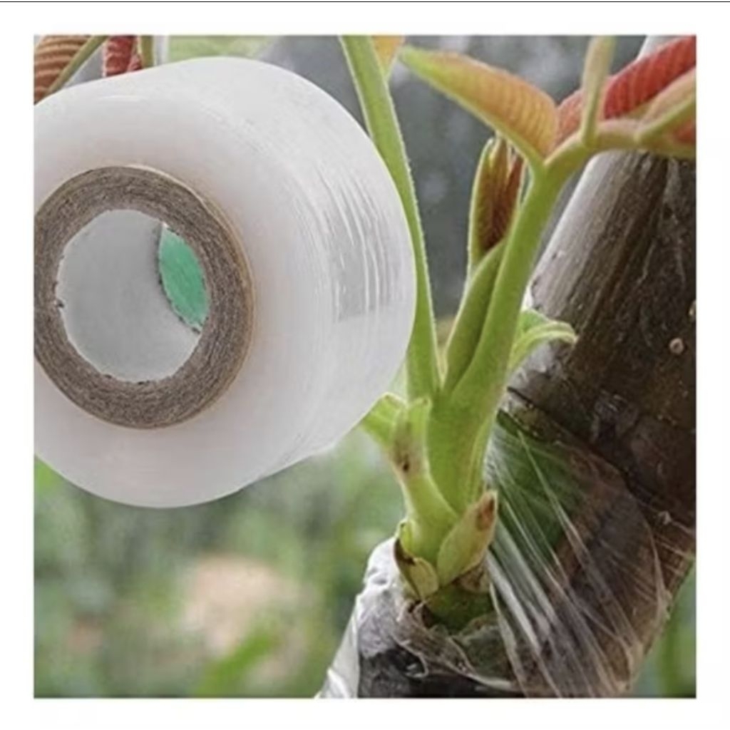 Grafting Tape | Plastik Okulasi Stek Tanaman