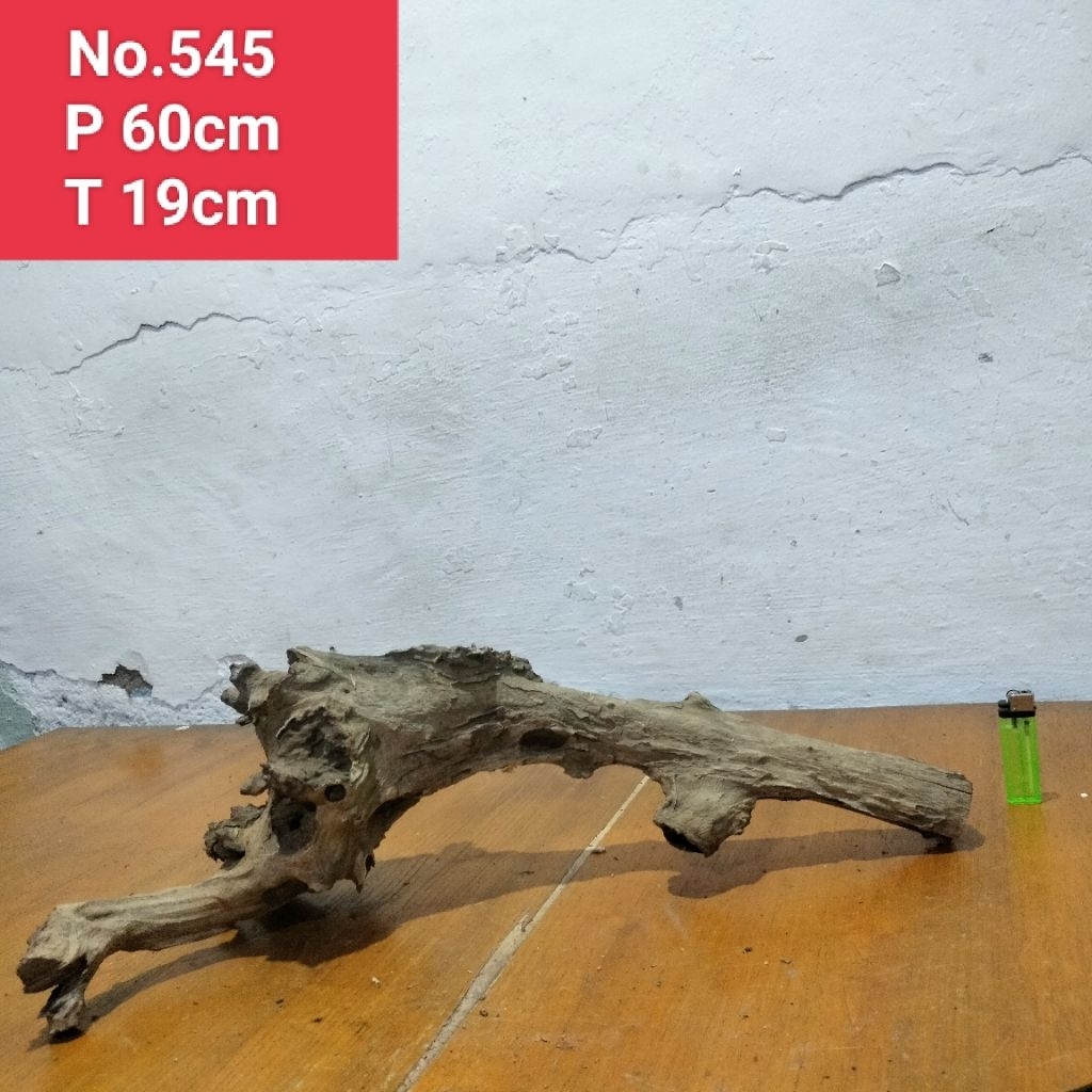 akar santigi laut kayu santigi laut dekorasi aquascape aquarium 545