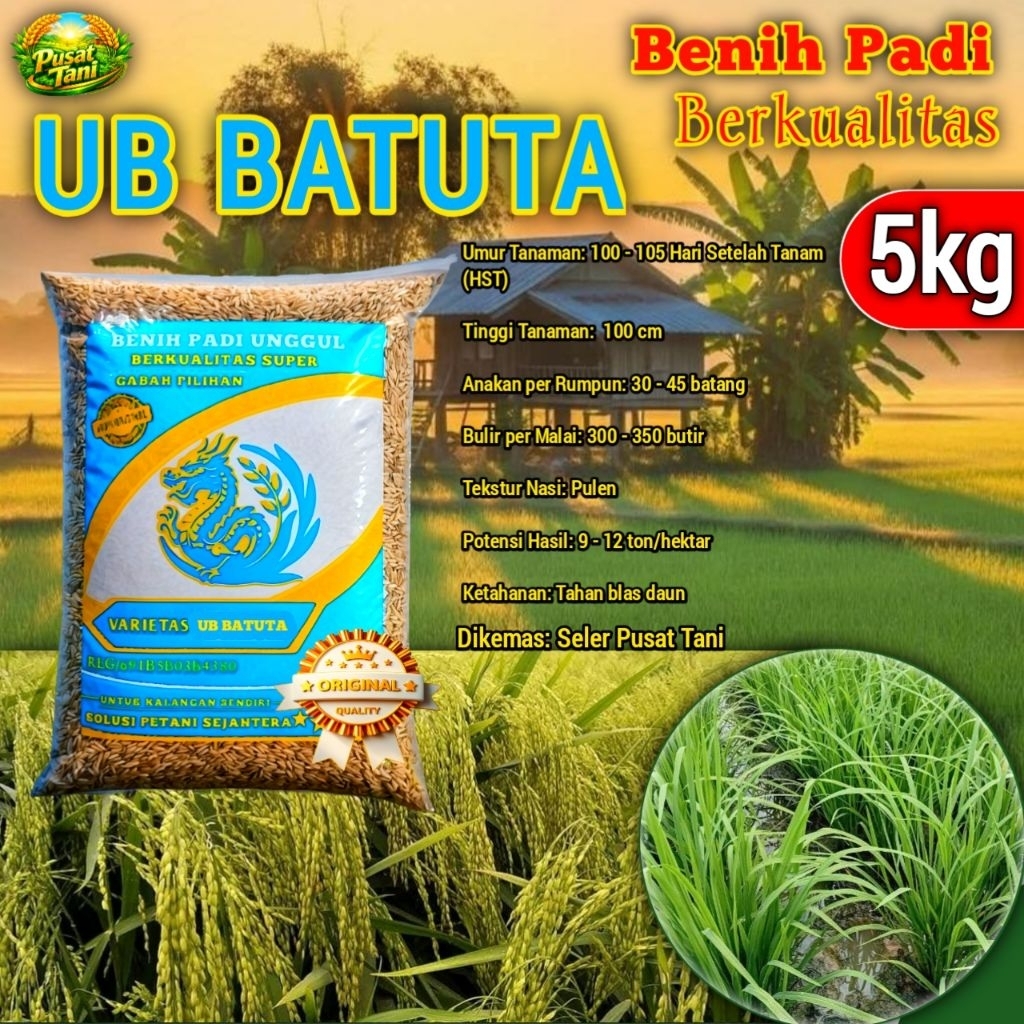 Benih Padi Galur Ub Batuta Kemasan 5kg