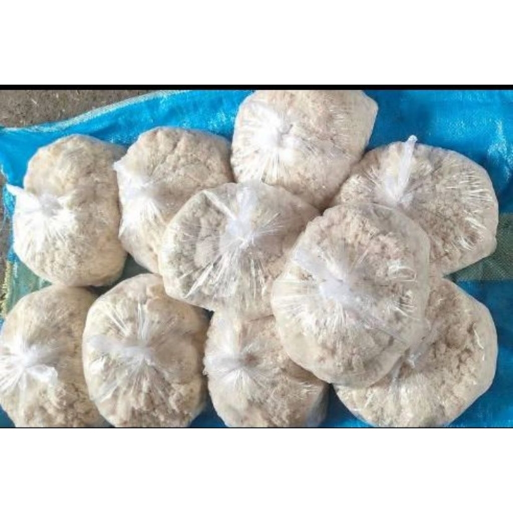 Pakan ternak ampas tahu basah 1kg bernutrisi tinggi