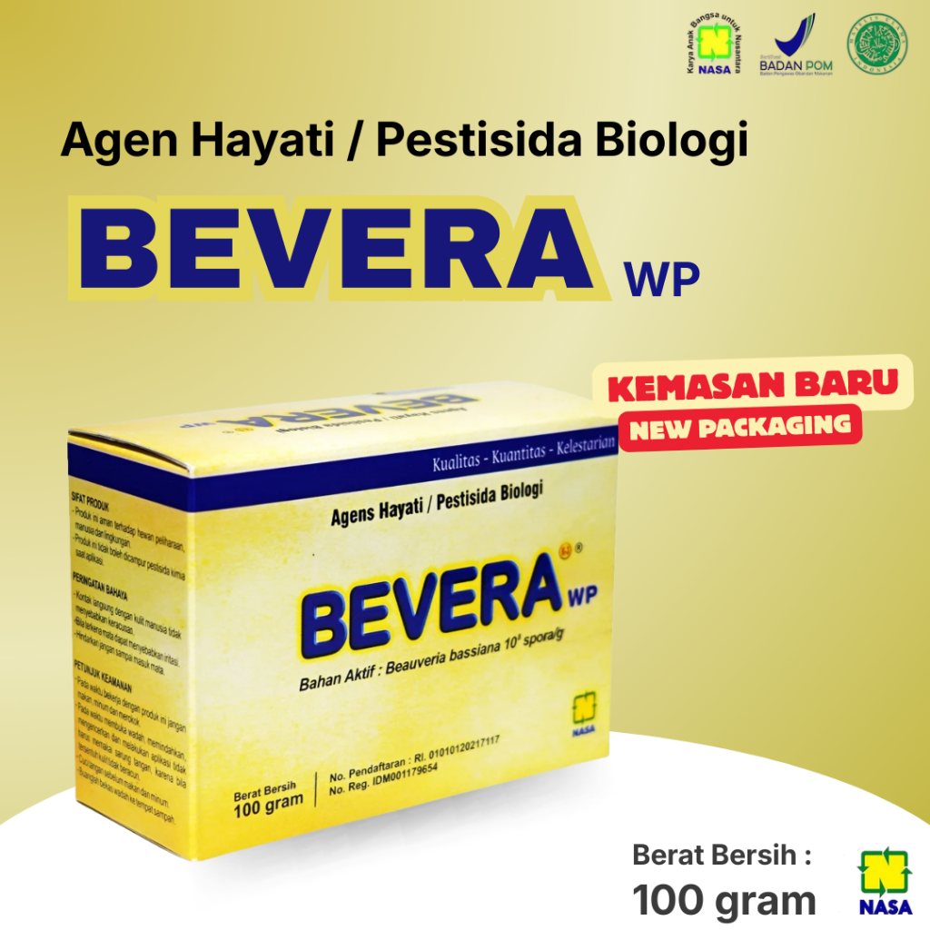 COD NATURAL BVR Pestisida Organik BVR Beauveria Bassiana Nasa 100 Gr obat hama ampuh Natural BVR Nas