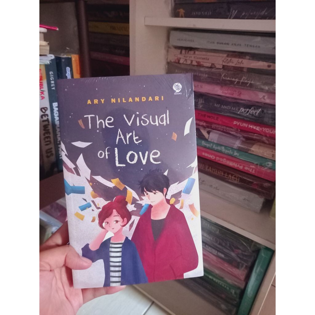 novel the visual art love