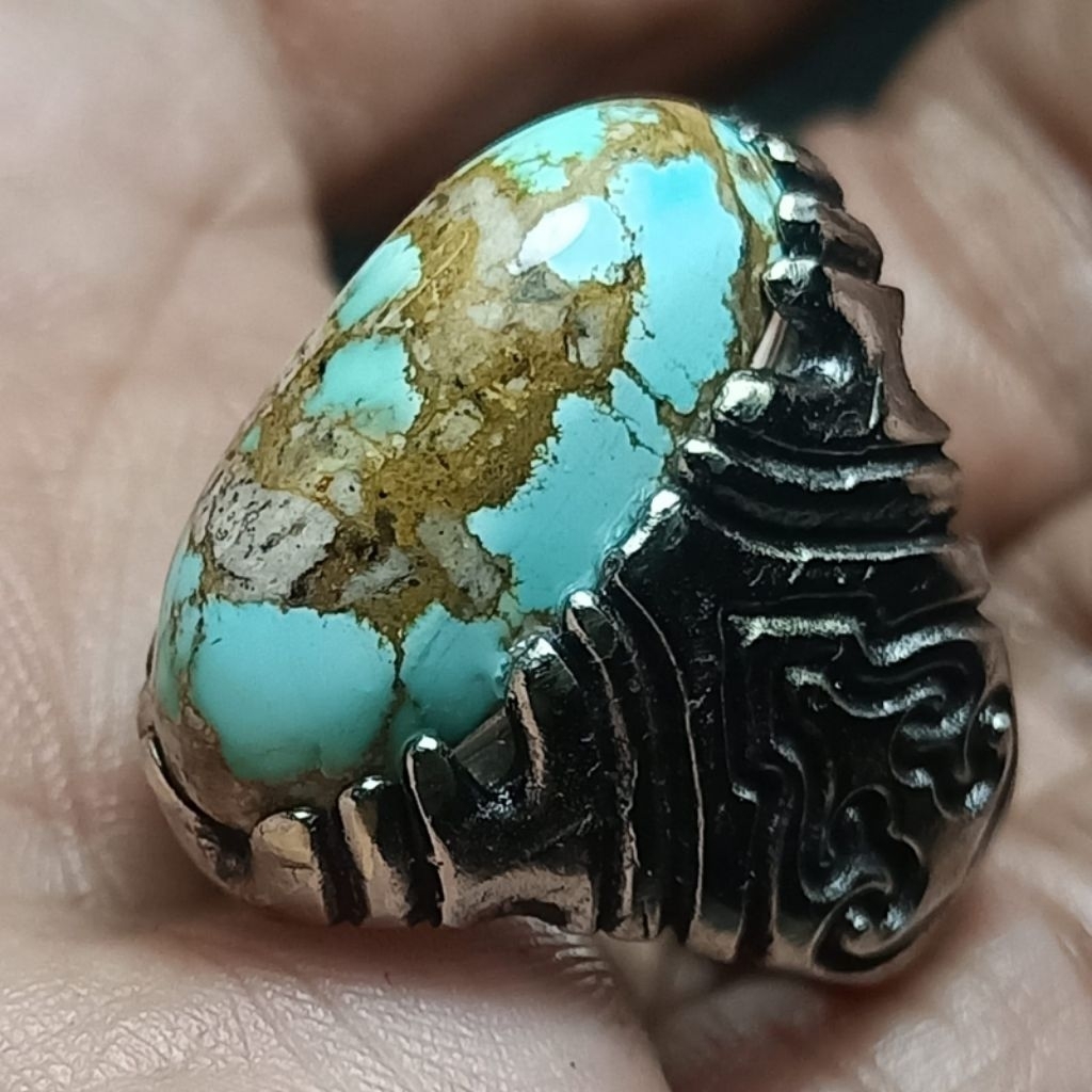 Pirus persia biru tosca mumbul