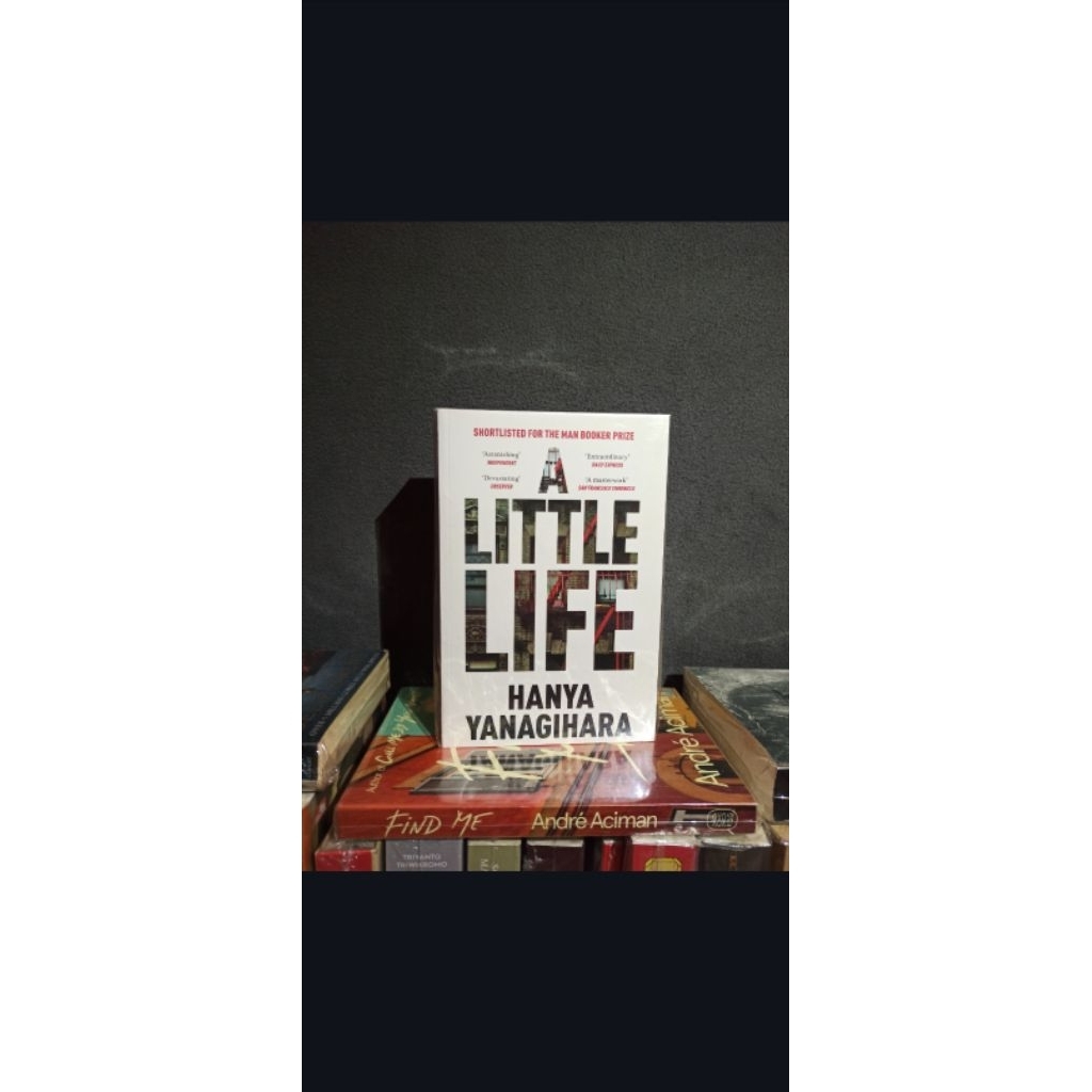 Buku A Little Life