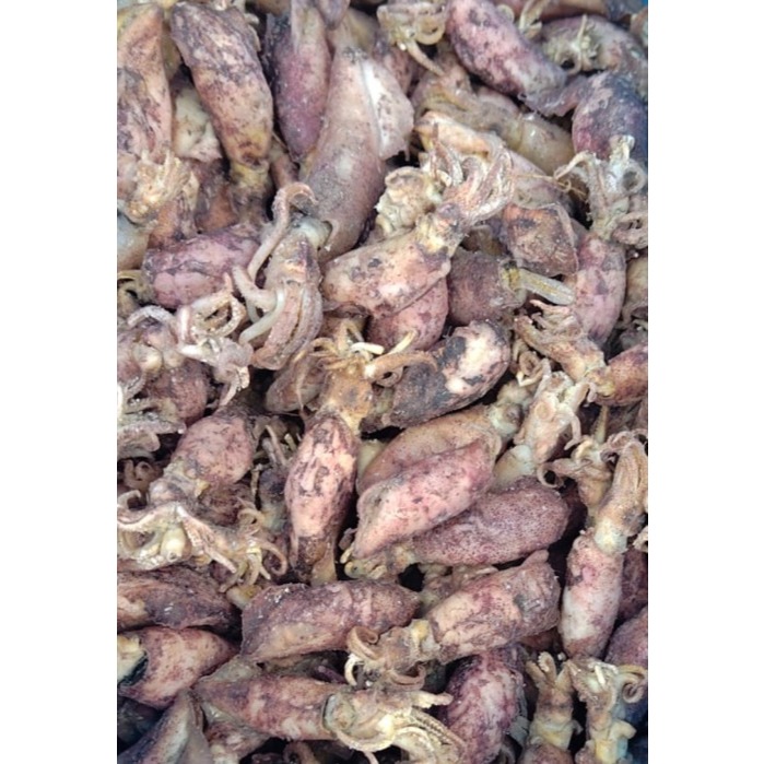 Cumi Asin Medan Premium | Cumi Kering Kasar Gurih | Cumi Asin Berkualitas