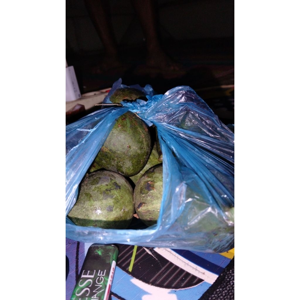 Muncang Adu Mantili pedang