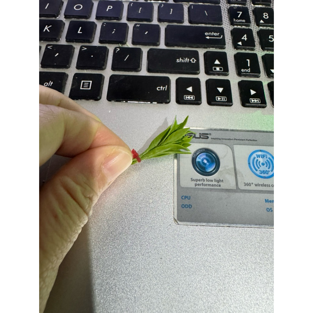 miniatur sayur kangkung /bayam/wortel/labu sium waluh