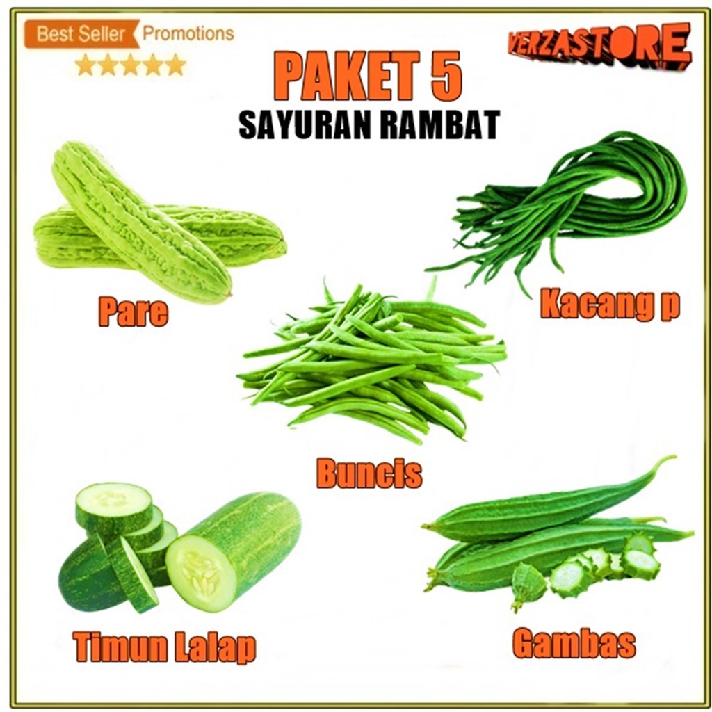 Macam Benih Sayuran Paket 5 Benih Sayuran Rambat: Buncis, Kacang Panjang, Oyong, Pare, Timun Lalap P