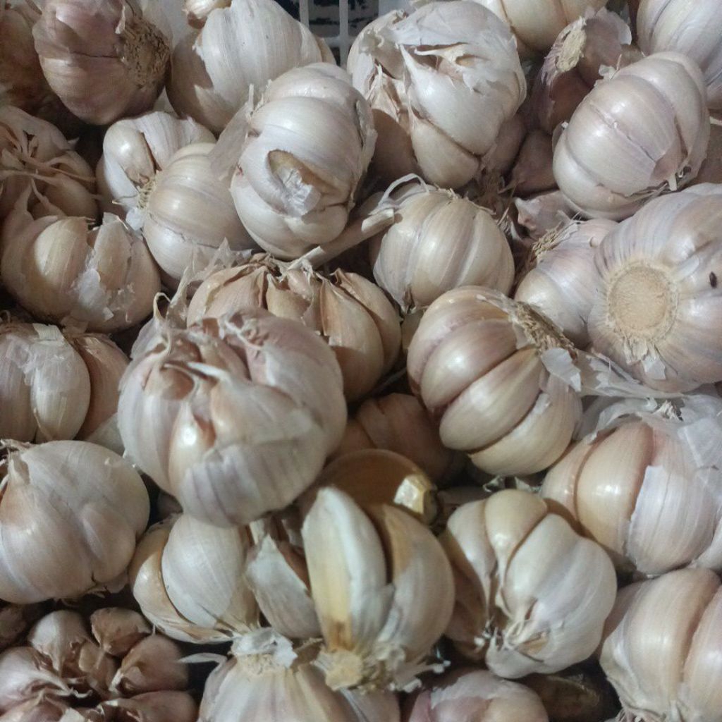 Bawang Putih Super Bersih 1 kg - Segar, Bersih, Siung Besar