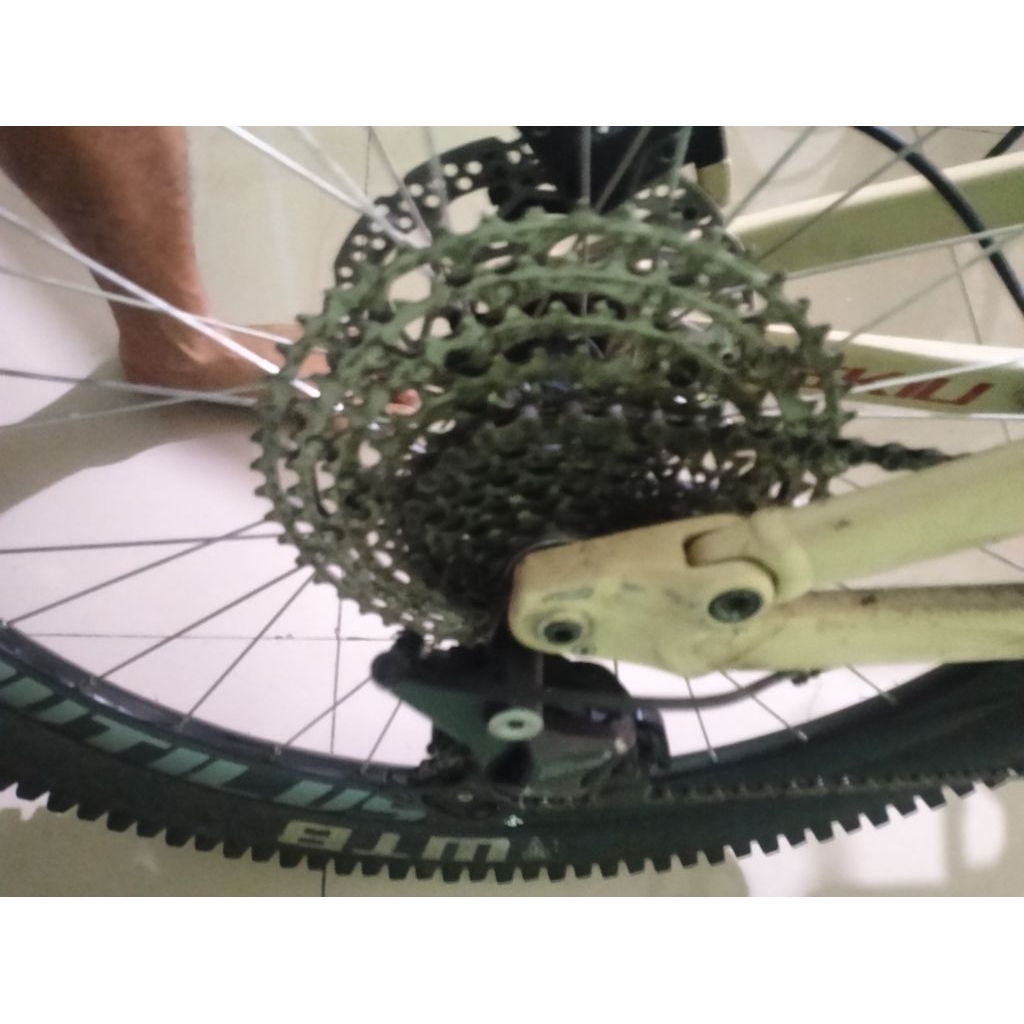 sepeda Polygon d7 cream