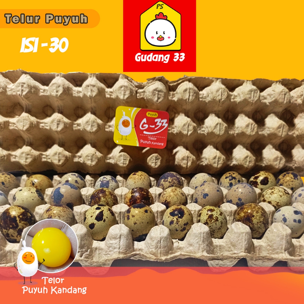 Telur Puyuh kandang, fresh dari kandang sendiri