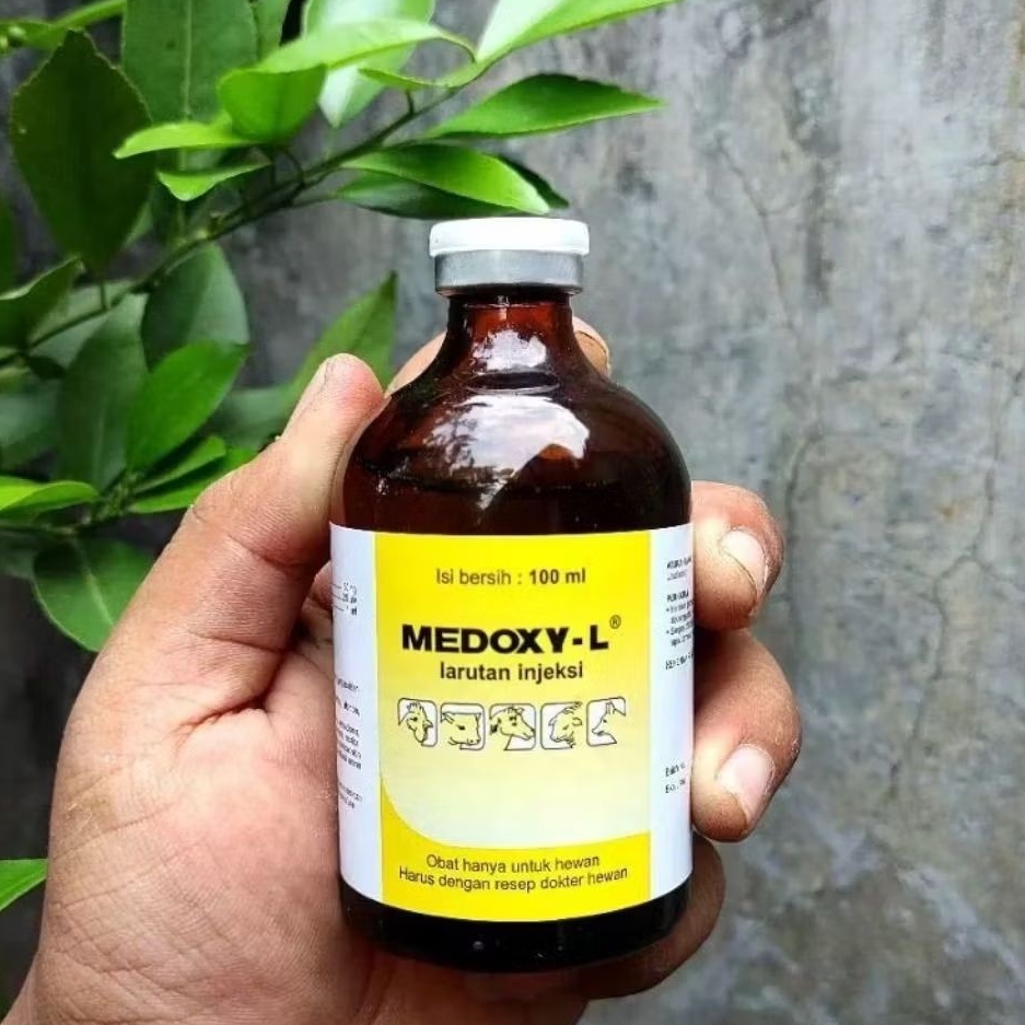 Obat Ngorok Ayam Super Medoxy L Inject 100 ml Obat Injeksi Untuk Ayam Sapi Domba Kuda Sakit Snot Ngo