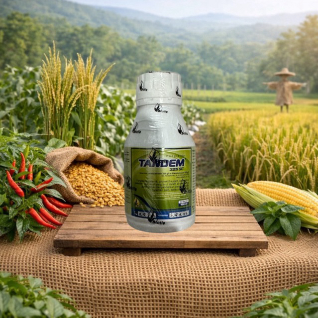 fungisida tandem 100 ml