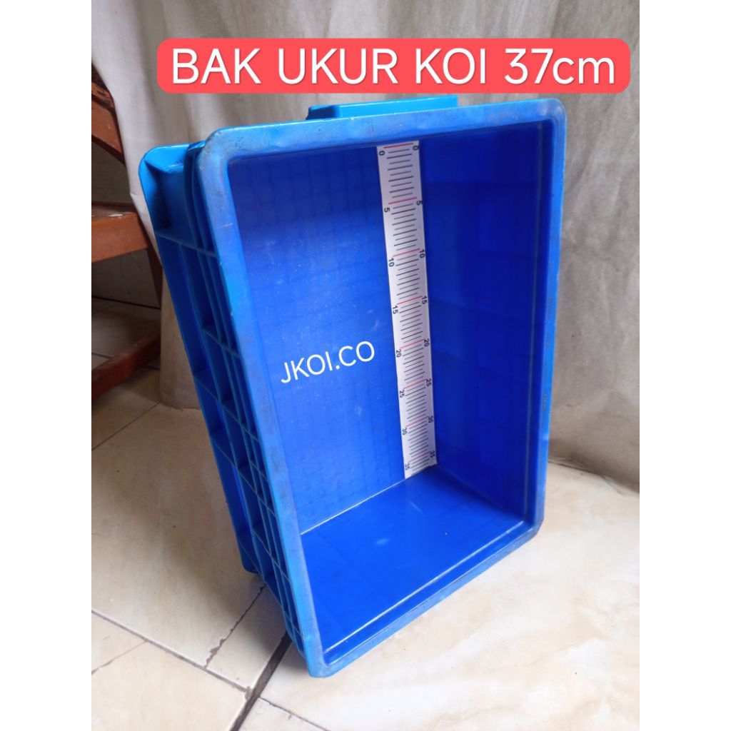 BAK UKUR IKAN KOI 37CM BAHAN BOX PLASTIK + STIKER UKUR ANTI AIR PxLxT 40x25x15CM BAK UKUR IKAN KOI R
