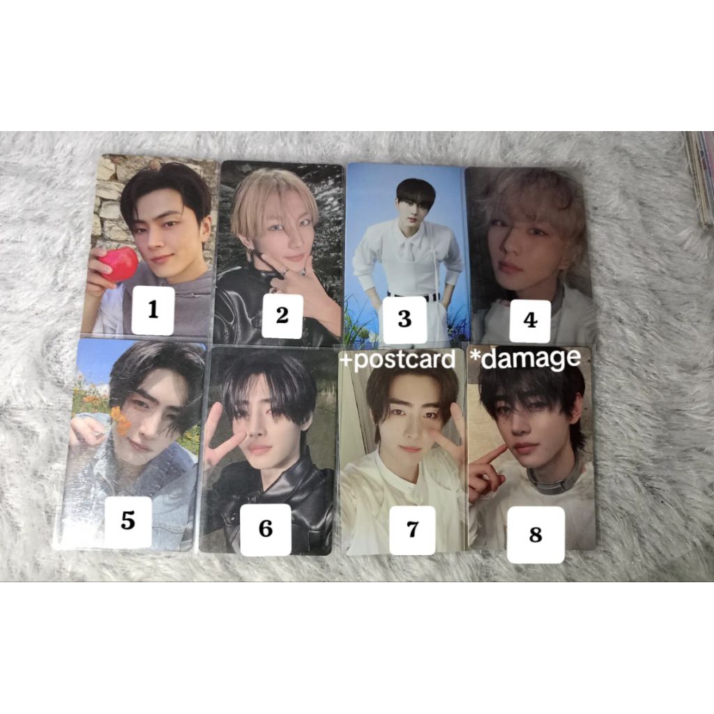 photocard enhypen official
