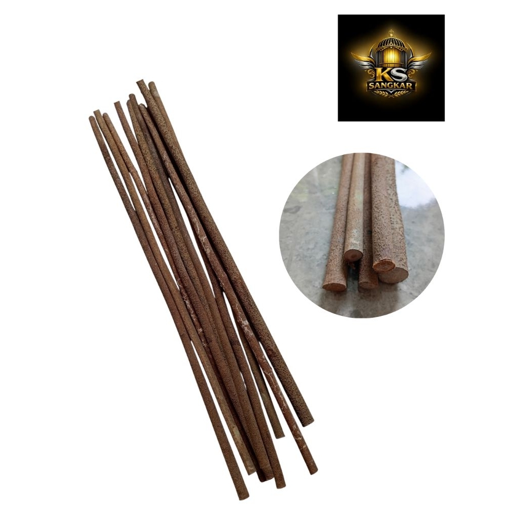 tangkringan asem bali super all ukuran asem bali kenari cendet cak ijo kacer tangkringan burung