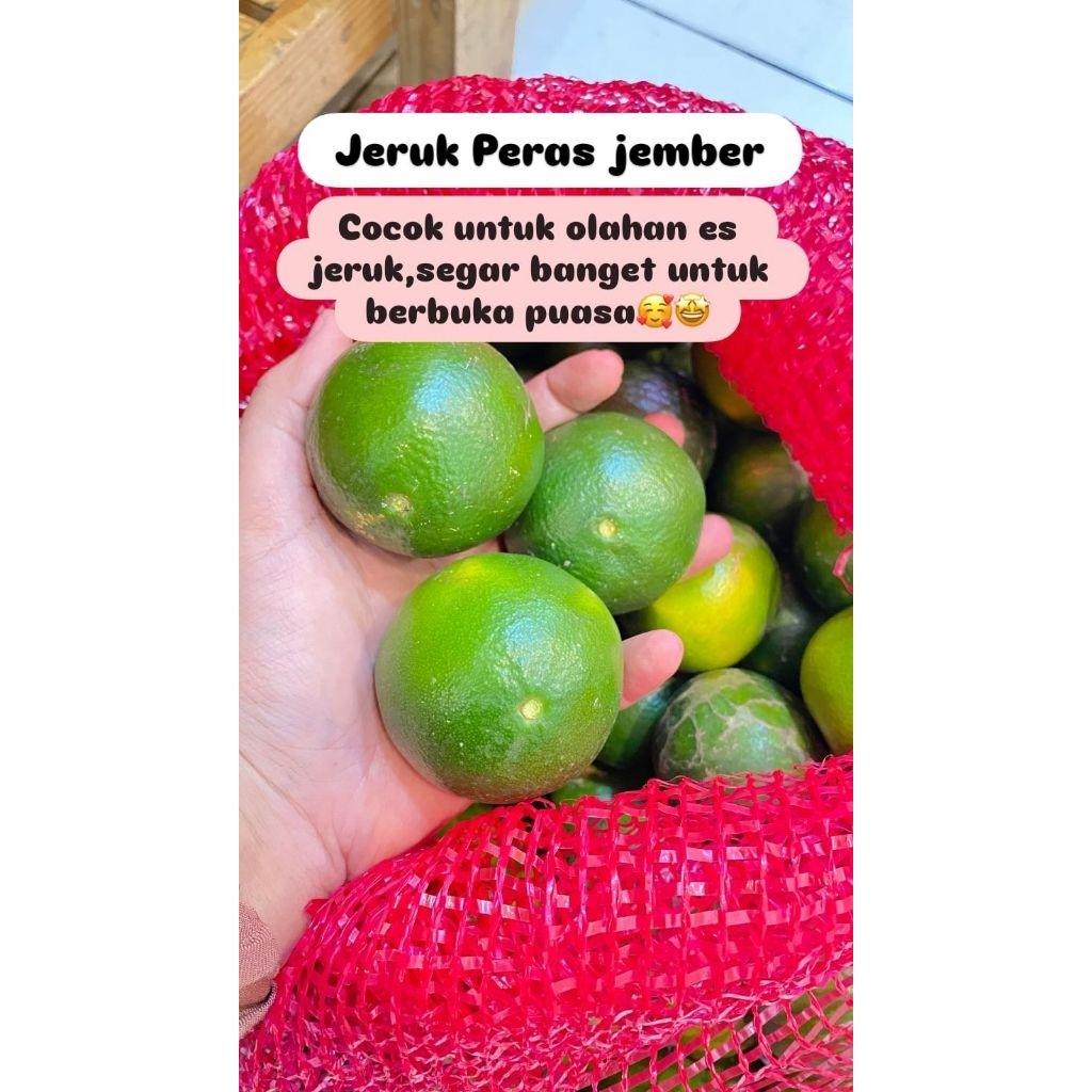 Jeruk Peras Jember