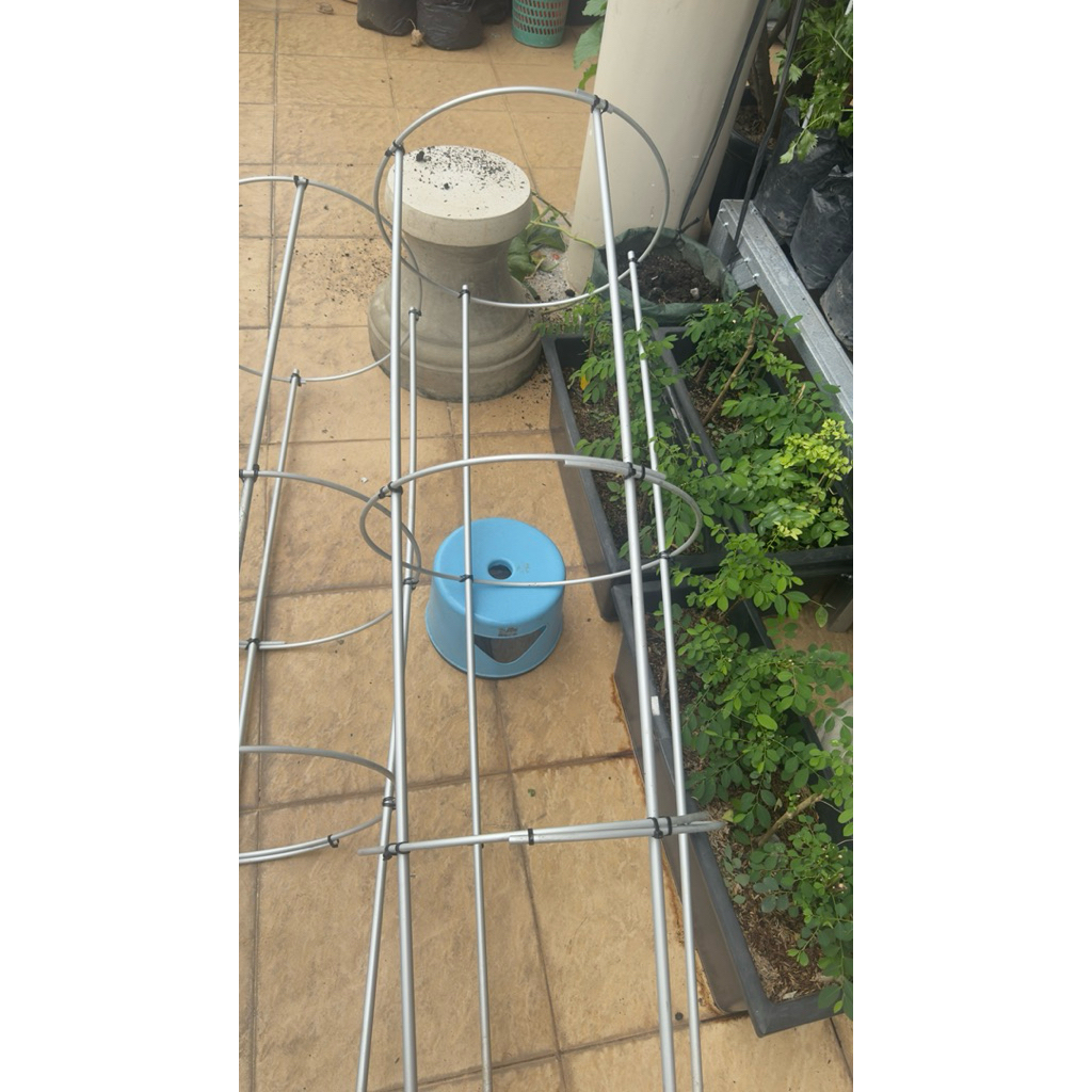 penyangga tanaman MURAH tiang rambatan anggur