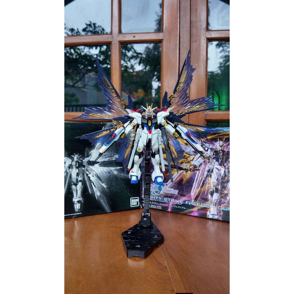 HG 1/144 Strike Freedom Type II Gundam + Backpack RG Strike Freedom (+ adaptor) + Effect Wing of The