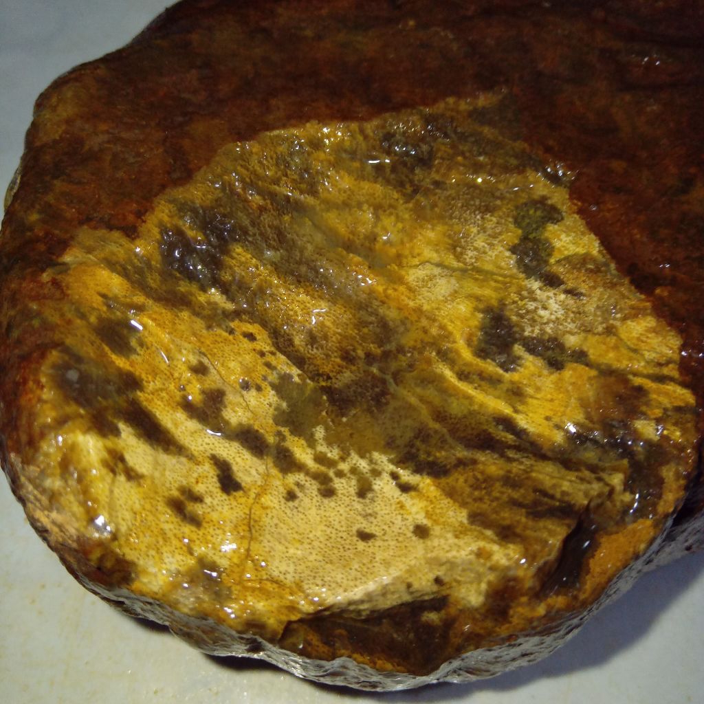 Natural Batu Akik Motif Macan Tutul Sumatera