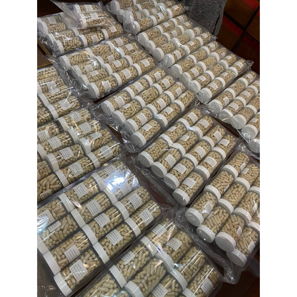 Peninggi badan Tienchi Notoginseng