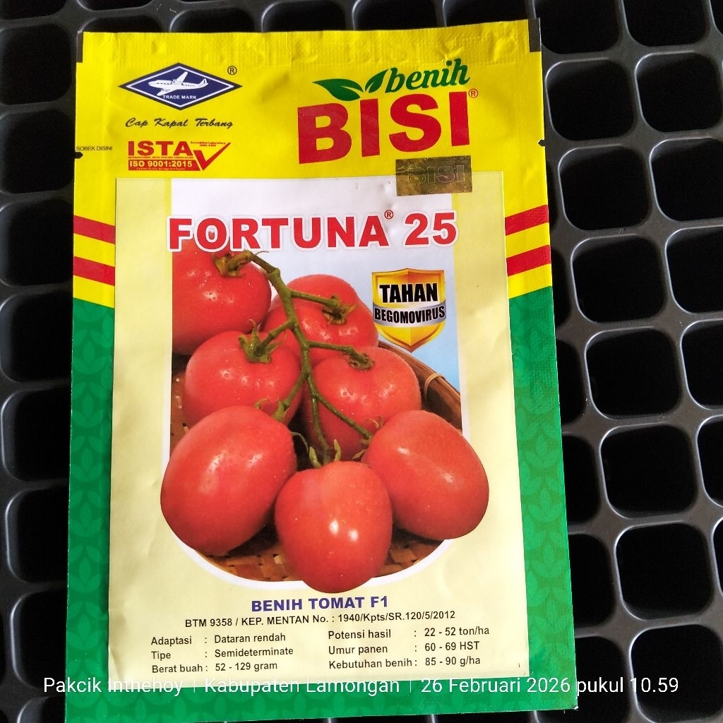 BENIH TOMAT FORTUNA 25 5 GRAM