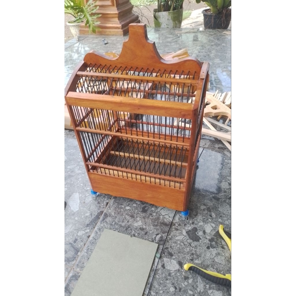 Sangkar Burung prenjak konin plecy siap pakai sudah di cat plitur