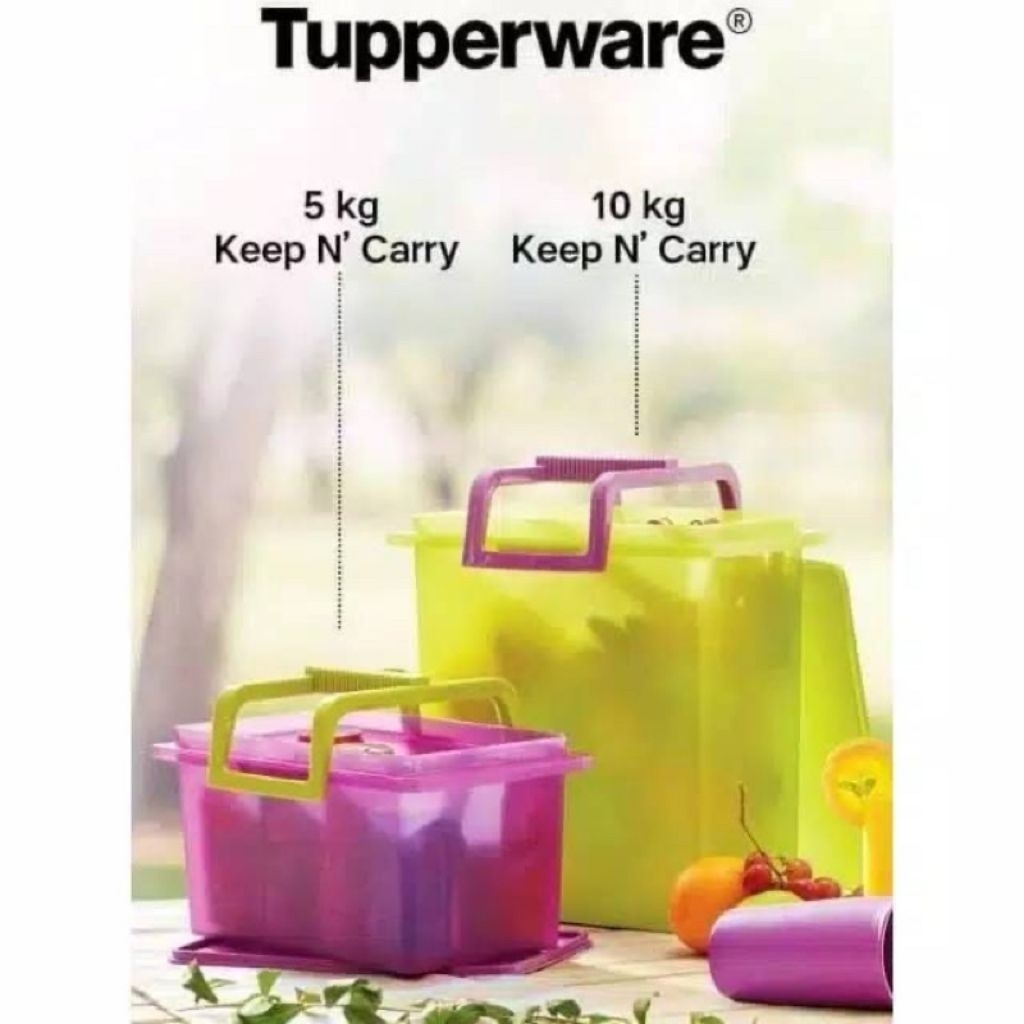 Tupperware jumbo keep n carry