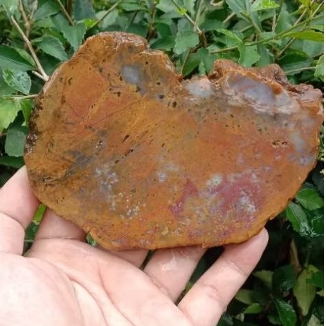 Batu akik pancawarna Klawing