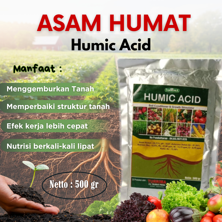 Humic Acid Original Serbuk 500gr, Asam Humat Humic Acid Penyubur Pembenah Tanah Kritis, Pupuk HUMIC 