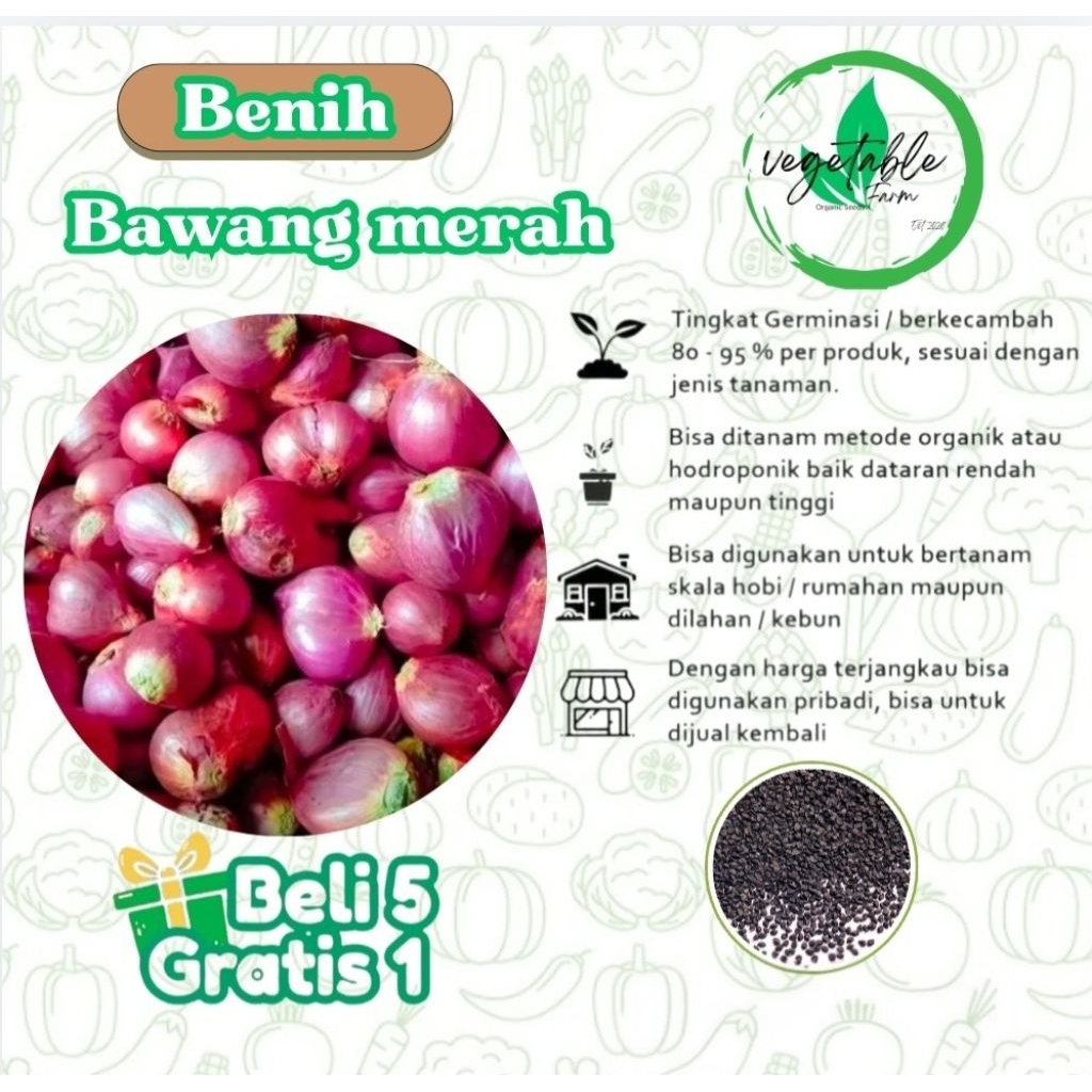 Benih Bawang Merah Bibit Bawang Merah Terbaik