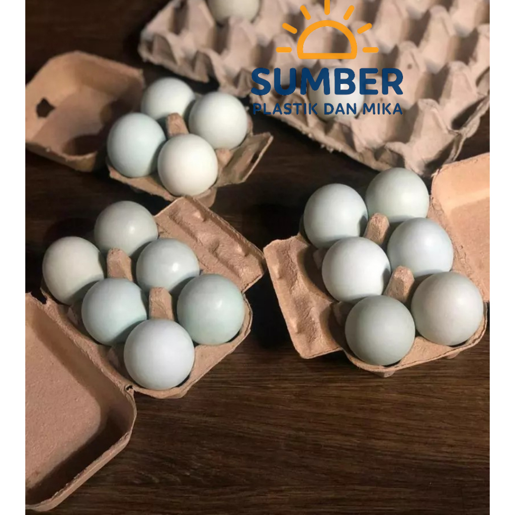 12pcs Paper egg tray/tray telur kertas 6 lubang sudah ada pengunci