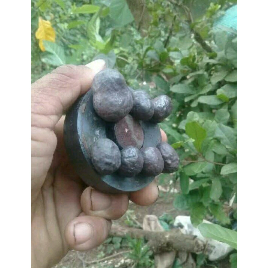 Batu badarbesi selonatah meteor tektite nempel magnit