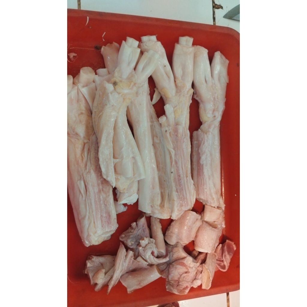 Urat Sapi Fresh/ Urat Sengkel / Urat Tendon
