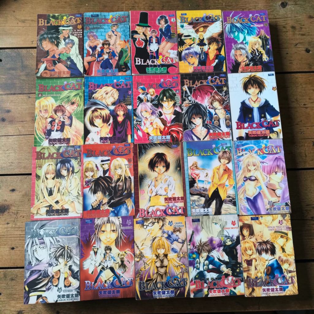 Komik Black Cat