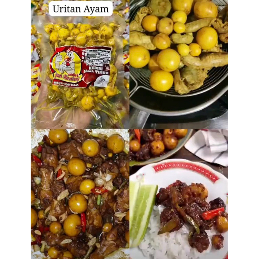 Uritan Ayam URITAN UNGKEP khas Kas Kediri Telur Usus Ati Ampela Burung Puyuh