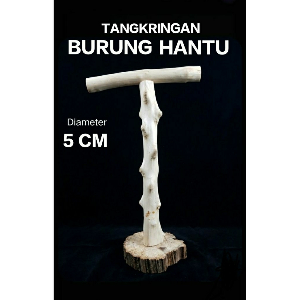 tangkringan burung hantu/owl