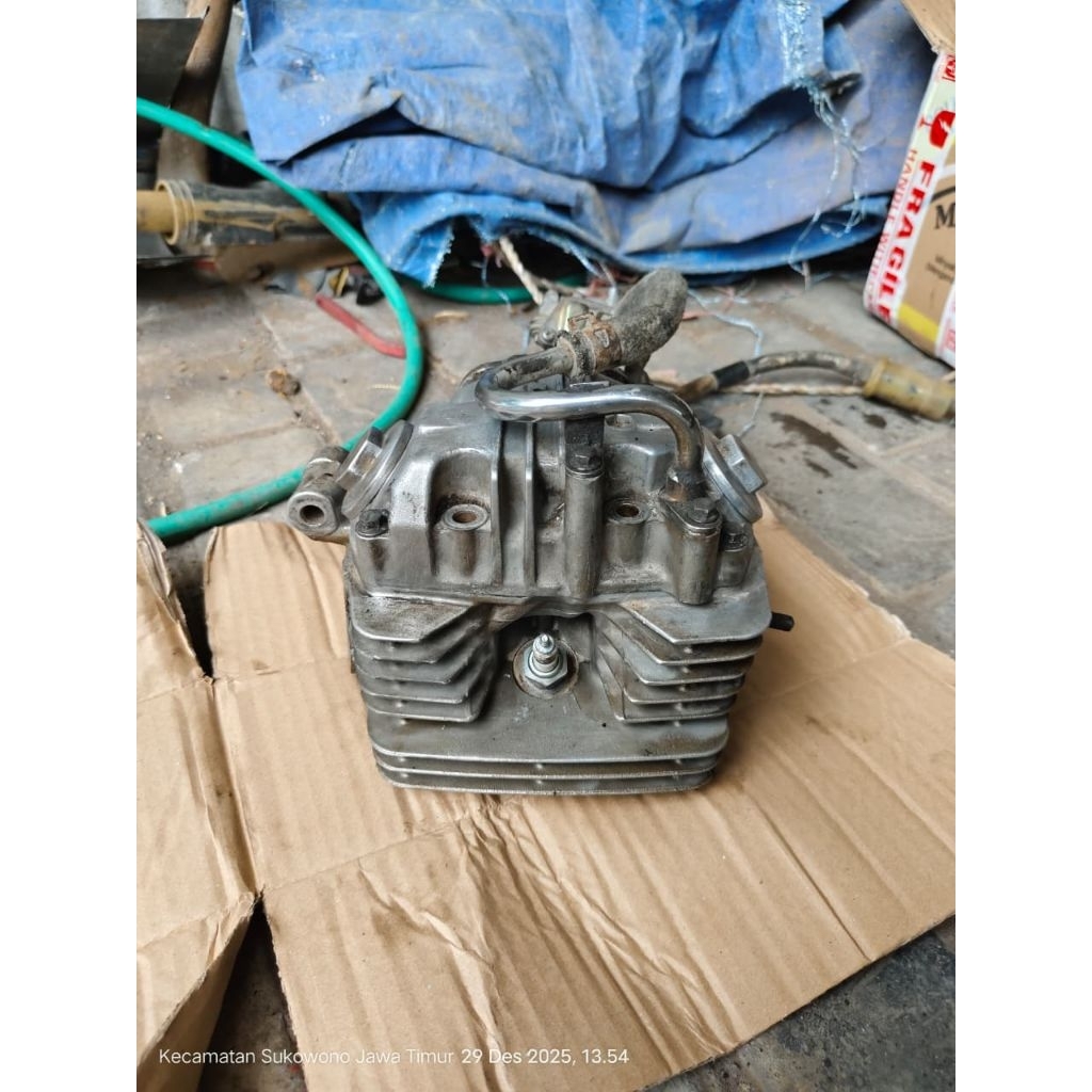 Slinder Kop/Kop Head Original Tiger Revo