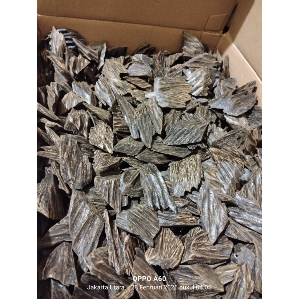 kayu gaharu Tunggul kalimantan sanai 1kg