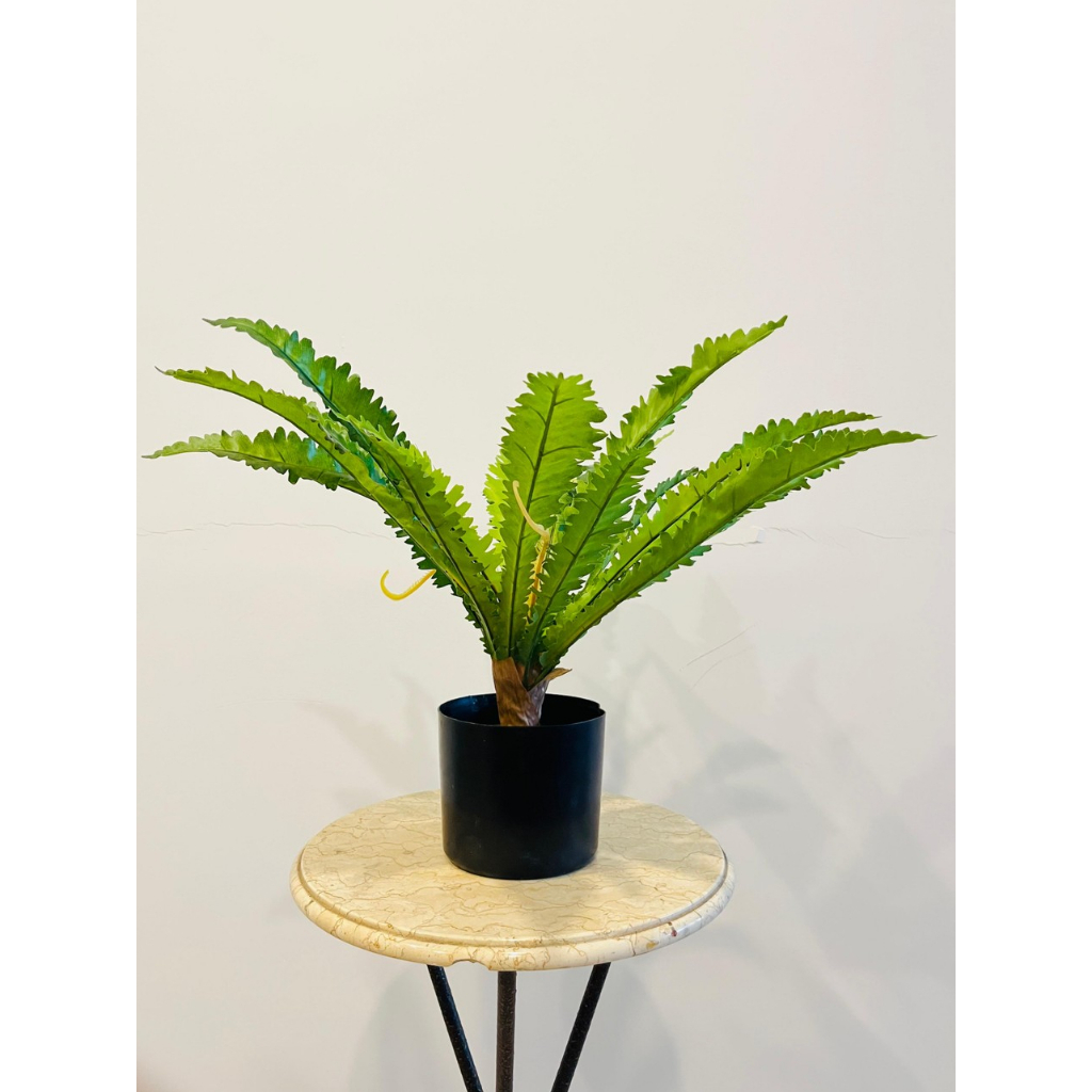 Artificial Bird's-Nest Fern Plant