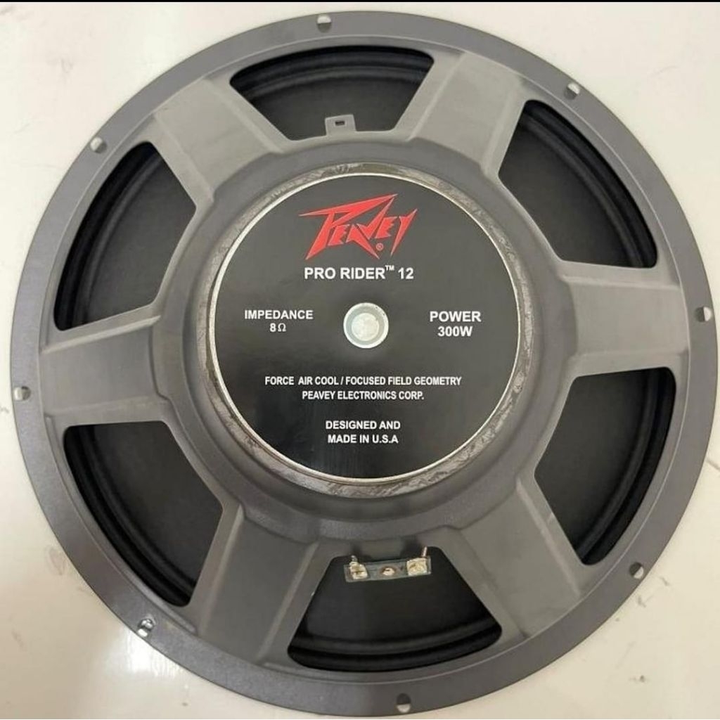SPEAKER PEAVEY PRORIDER 12 INCH 300 WATT MID LOW
